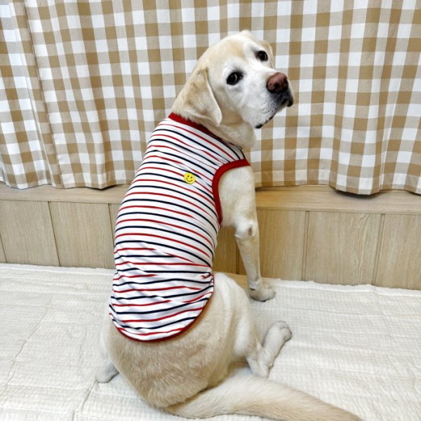 画像23: 犬服 ボーダー スマイル シンプル タンクトップ S M L XL 2XL 3XL 4XL 5XL 6XL 小型犬 中型犬 大型犬 春 夏 袖なし おしゃれ ペット服 doggystar ドッギースター  (23)