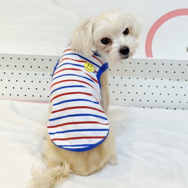 画像1: 犬服 ボーダー スマイル シンプル タンクトップ S M L XL 2XL 3XL 4XL 5XL 6XL 小型犬 中型犬 大型犬 春 夏 袖なし おしゃれ ペット服 doggystar ドッギースター  (1)