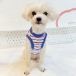 画像17: 犬服 ボーダー スマイル シンプル タンクトップ S M L XL 2XL 3XL 4XL 5XL 6XL 小型犬 中型犬 大型犬 春 夏 袖なし おしゃれ ペット服 doggystar ドッギースター  (17)