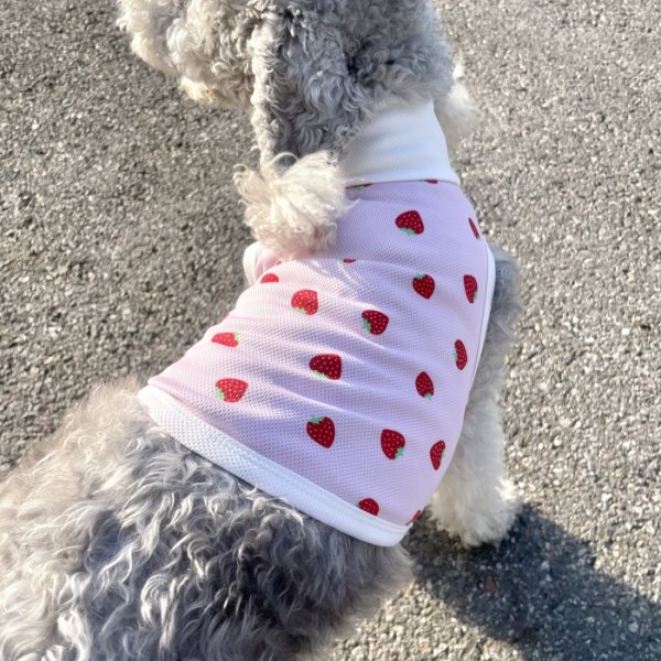 画像18: イタグレ服 S M L XL 2XL 3XL 吸汗速乾 いちごメッシュ  クロップド タンクトップ 小型犬 中型犬 大型犬 夏 doggystar ドッギースター 即日発送できます (18)