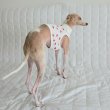 画像6: イタグレ服 S M L XL 2XL 3XL 吸汗速乾 いちごメッシュ  クロップド タンクトップ 小型犬 中型犬 大型犬 夏 doggystar ドッギースター 即日発送できます (6)