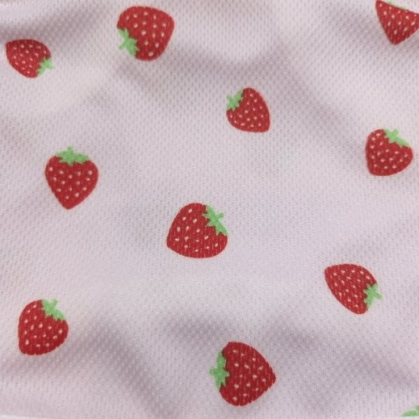 画像23: イタグレ服 S M L XL 2XL 3XL 吸汗速乾 いちごメッシュ  クロップド タンクトップ 小型犬 中型犬 大型犬 夏 doggystar ドッギースター 即日発送できます (23)