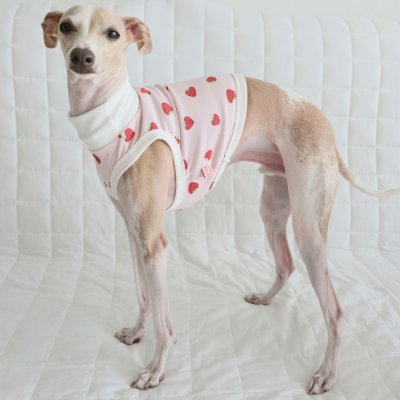 画像1: イタグレ服 S M L XL 2XL 3XL 吸汗速乾 いちごメッシュ クロップド タンクトップ 小型犬 中型犬 大型犬 夏 doggystar ドッギースター 即日発送できます