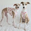 画像12: イタグレ服 S M L XL 2XL 3XL 吸汗速乾 いちごメッシュ  クロップド タンクトップ 小型犬 中型犬 大型犬 夏 doggystar ドッギースター 即日発送できます (12)
