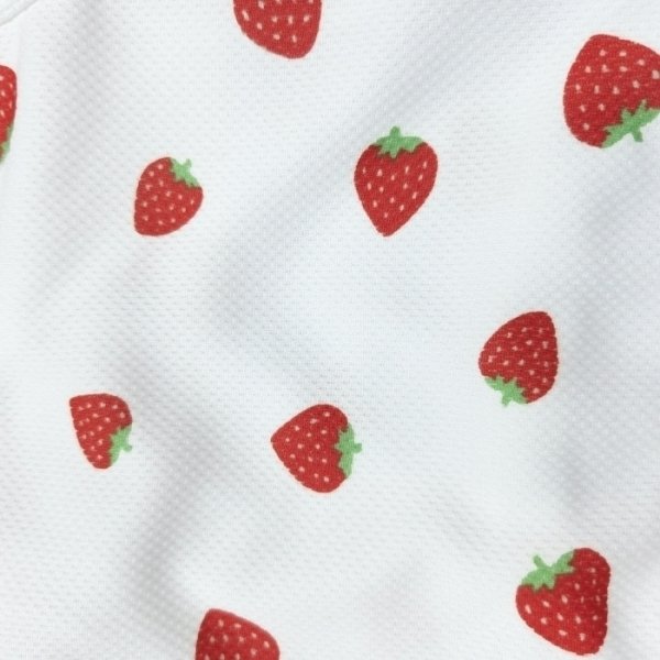画像11: イタグレ服 S M L XL 2XL 3XL 吸汗速乾 いちごメッシュ  クロップド タンクトップ 小型犬 中型犬 大型犬 夏 doggystar ドッギースター 即日発送できます (11)