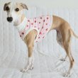画像14: イタグレ服 S M L XL 2XL 3XL 吸汗速乾 いちごメッシュ  クロップド タンクトップ 小型犬 中型犬 大型犬 夏 doggystar ドッギースター 即日発送できます (14)