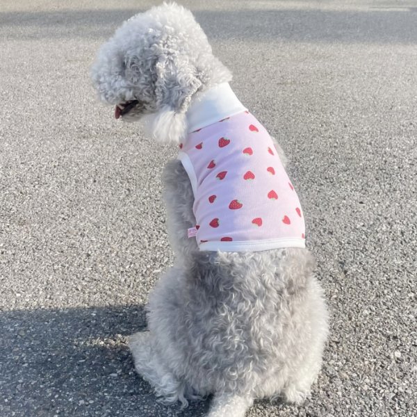 画像17: イタグレ服 S M L XL 2XL 3XL 吸汗速乾 いちごメッシュ  クロップド タンクトップ 小型犬 中型犬 大型犬 夏 doggystar ドッギースター 即日発送できます (17)