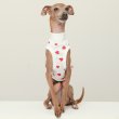 画像6: イタグレ服 S M L XL 2XL 3XL 吸汗速乾 いちごメッシュ  クロップド タンクトップ 小型犬 中型犬 大型犬 夏 doggystar ドッギースター 即日発送できます (6)