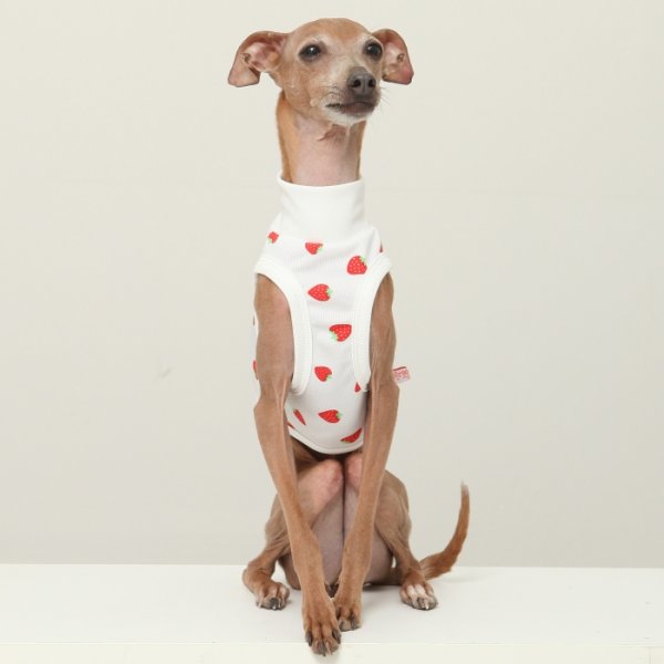 画像6: イタグレ服 S M L XL 2XL 3XL 吸汗速乾 いちごメッシュ  クロップド タンクトップ 小型犬 中型犬 大型犬 夏 doggystar ドッギースター 即日発送できます (6)