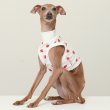 画像5: イタグレ服 S M L XL 2XL 3XL 吸汗速乾 いちごメッシュ  クロップド タンクトップ 小型犬 中型犬 大型犬 夏 doggystar ドッギースター 即日発送できます (5)