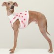 画像16: イタグレ服 S M L XL 2XL 3XL 吸汗速乾 いちごメッシュ  クロップド タンクトップ 小型犬 中型犬 大型犬 夏 doggystar ドッギースター 即日発送できます (16)