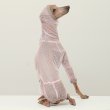 画像15: イタグレ服 S M L XL 2XL 3XLシースルードット柄 ロンパース つなぎ 小型犬 中型犬 大型犬 春夏 doggystar ドッギースター 6/15より発送出来ます (15)