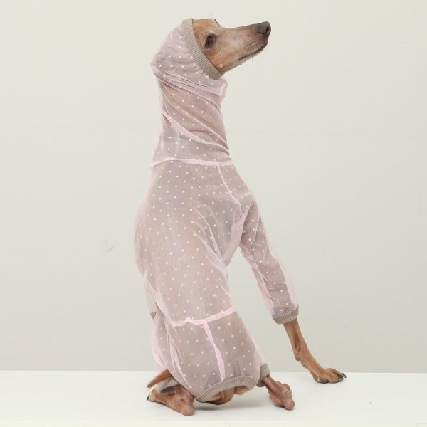 画像15: イタグレ服 S M L XL 2XL 3XLシースルードット柄 ロンパース つなぎ 小型犬 中型犬 大型犬 春夏 doggystar ドッギースター 6/15より発送出来ます (15)