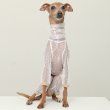 画像6: イタグレ服 S M L XL 2XL 3XLシースルードット柄 ロンパース つなぎ 小型犬 中型犬 大型犬 春夏 doggystar ドッギースター 6/15より発送出来ます (6)
