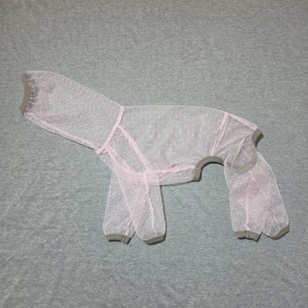 画像21: イタグレ服 S M L XL 2XL 3XLシースルードット柄 ロンパース つなぎ 小型犬 中型犬 大型犬 春夏 doggystar ドッギースター 6/15より発送出来ます (21)