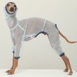 画像1: イタグレ服 S M L XL 2XL 3XLシースルードット柄 ロンパース つなぎ 小型犬 中型犬 大型犬 春夏 doggystar ドッギースター 6/15より発送出来ます (1)