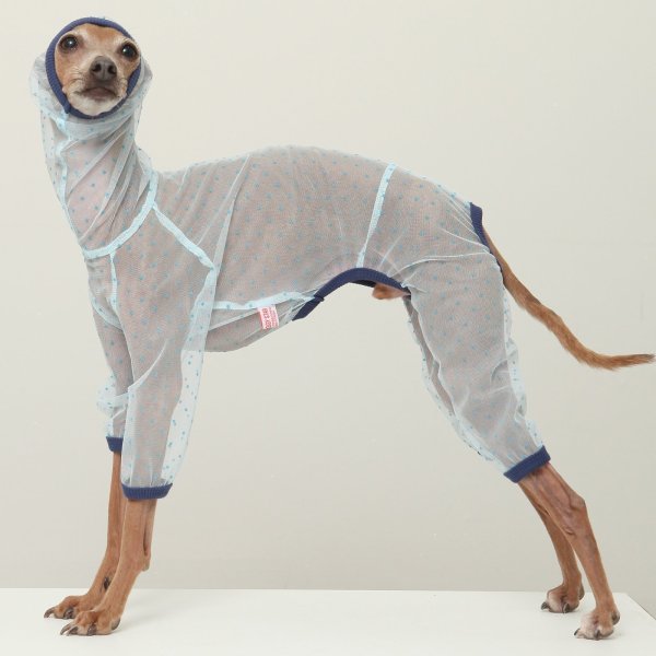 画像1: イタグレ服 S M L XL 2XL 3XLシースルードット柄 ロンパース つなぎ 小型犬 中型犬 大型犬 春夏 doggystar ドッギースター 6/15より発送出来ます (1)