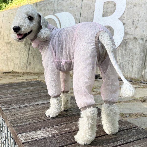 画像18: イタグレ服 S M L XL 2XL 3XLシースルードット柄 ロンパース つなぎ 小型犬 中型犬 大型犬 春夏 doggystar ドッギースター 6/15より発送出来ます (18)