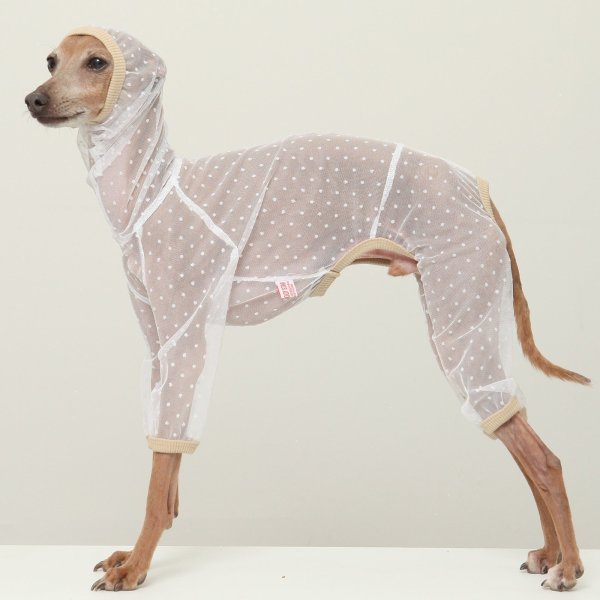 画像5: イタグレ服 S M L XL 2XL 3XLシースルードット柄 ロンパース つなぎ 小型犬 中型犬 大型犬 春夏 doggystar ドッギースター 6/15より発送出来ます (5)