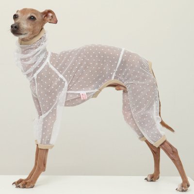 画像2: イタグレ服 S M L XL 2XL 3XLシースルードット柄 ロンパース つなぎ 小型犬 中型犬 大型犬 春夏 doggystar ドッギースター 6/15より発送出来ます