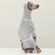 画像25: イタグレ服 S M L XL 2XL 3XLシースルードット柄 ロンパース つなぎ 小型犬 中型犬 大型犬 春夏 doggystar ドッギースター 6/15より発送出来ます (25)