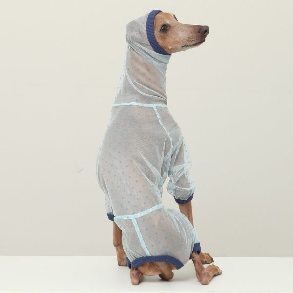 画像25: イタグレ服 S M L XL 2XL 3XLシースルードット柄 ロンパース つなぎ 小型犬 中型犬 大型犬 春夏 doggystar ドッギースター 6/15より発送出来ます (25)