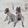 画像33: イタグレ服 S M L XL 2XL 3XLシースルードット柄 ロンパース つなぎ 小型犬 中型犬 大型犬 春夏 doggystar ドッギースター 6/15より発送出来ます (33)