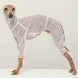画像4: イタグレ服 S M L XL 2XL 3XLシースルードット柄 ロンパース つなぎ 小型犬 中型犬 大型犬 春夏 doggystar ドッギースター 6/15より発送出来ます (4)