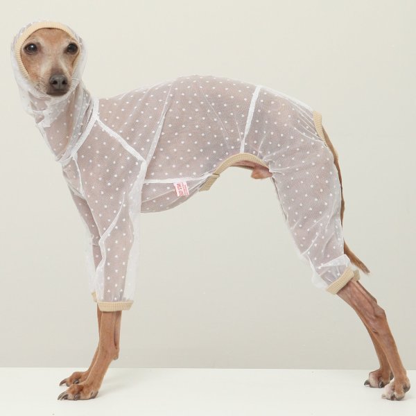 画像4: イタグレ服 S M L XL 2XL 3XLシースルードット柄 ロンパース つなぎ 小型犬 中型犬 大型犬 春夏 doggystar ドッギースター 6/15より発送出来ます (4)