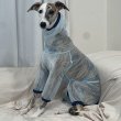 画像35: イタグレ服 S M L XL 2XL 3XLシースルードット柄 ロンパース つなぎ 小型犬 中型犬 大型犬 春夏 doggystar ドッギースター 6/15より発送出来ます (35)
