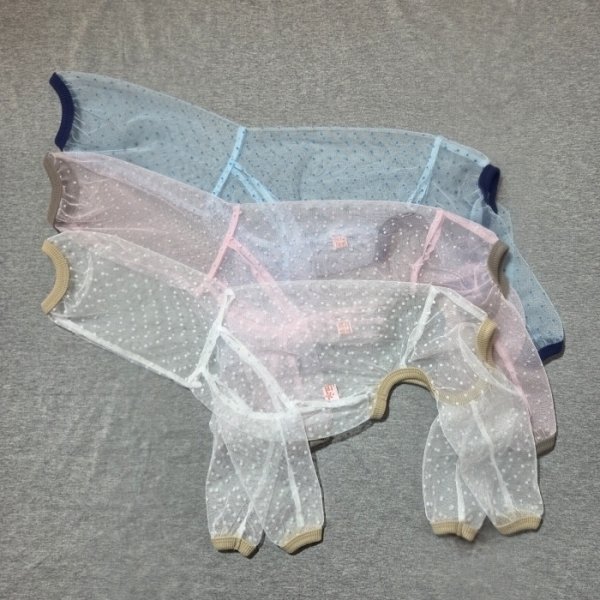 画像2: イタグレ服 S M L XL 2XL 3XLシースルードット柄 ロンパース つなぎ 小型犬 中型犬 大型犬 春夏 doggystar ドッギースター 6/15より発送出来ます (2)