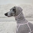 画像20: イタグレ服 S M L XL 2XL 3XLシースルードット柄 ロンパース つなぎ 小型犬 中型犬 大型犬 春夏 doggystar ドッギースター 6/15より発送出来ます (20)
