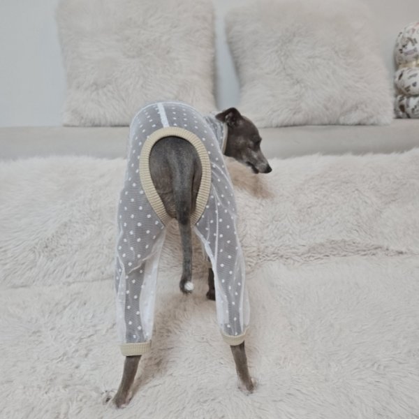 画像7: イタグレ服 S M L XL 2XL 3XLシースルードット柄 ロンパース つなぎ 小型犬 中型犬 大型犬 春夏 doggystar ドッギースター 6/15より発送出来ます (7)