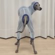 画像31: イタグレ服 S M L XL 2XL 3XLシースルードット柄 ロンパース つなぎ 小型犬 中型犬 大型犬 春夏 doggystar ドッギースター 即日発送できます (31)