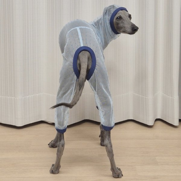 画像31: イタグレ服 S M L XL 2XL 3XLシースルードット柄 ロンパース つなぎ 小型犬 中型犬 大型犬 春夏 doggystar ドッギースター 即日発送できます (31)