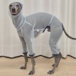 画像27: イタグレ服 S M L XL 2XL 3XLシースルードット柄 ロンパース つなぎ 小型犬 中型犬 大型犬 春夏 doggystar ドッギースター 即日発送できます (27)