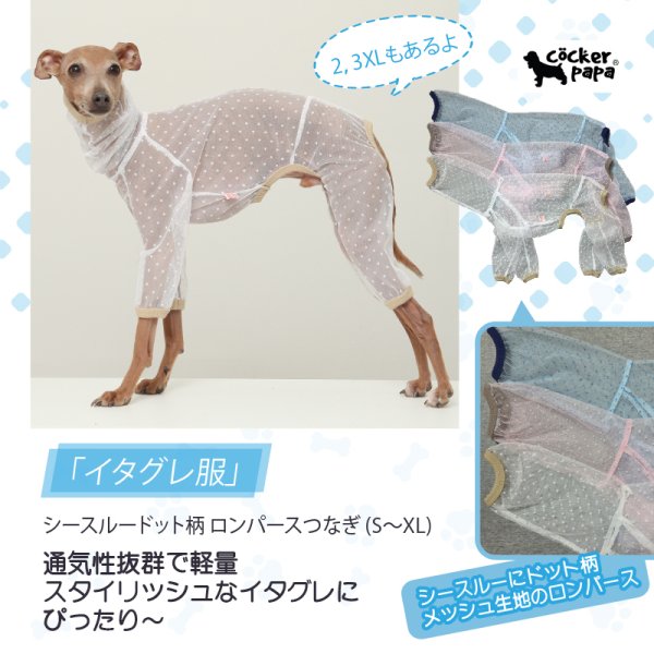 画像1: イタグレ服 S M L XL 2XL 3XLシースルードット柄 ロンパース つなぎ 小型犬 中型犬 大型犬 春夏 doggystar ドッギースター 即日発送できます (1)