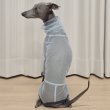 画像30: イタグレ服 S M L XL 2XL 3XLシースルードット柄 ロンパース つなぎ 小型犬 中型犬 大型犬 春夏 doggystar ドッギースター 即日発送できます (30)