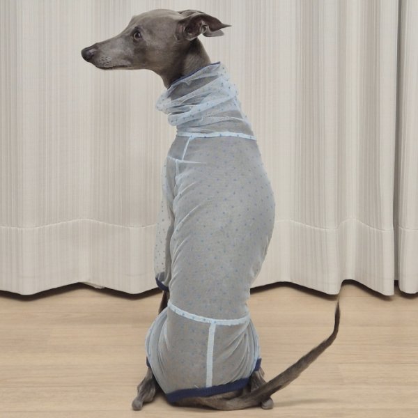 画像30: イタグレ服 S M L XL 2XL 3XLシースルードット柄 ロンパース つなぎ 小型犬 中型犬 大型犬 春夏 doggystar ドッギースター 即日発送できます (30)