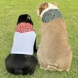 画像10: フレンチブルドッグ バンダナ スカーフ 唐草模様 S M L XL 春夏秋冬 アクセサリー 雑貨 doggystar ドッギースター  7月初旬入荷 (10)