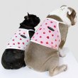 画像23: フレブル服  L XL 2XL 3XL 4XL 5XL 吸汗速乾 いちごメッシュ  クロップド タンクトップ 中型犬 大型犬 フレンチブルドッグ パグ 夏 doggystar ドッギースター 7月中旬発送 (23)