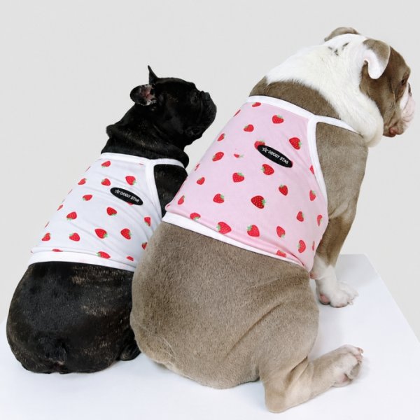 画像23: フレブル服  L XL 2XL 3XL 4XL 5XL 吸汗速乾 いちごメッシュ  クロップド タンクトップ 中型犬 大型犬 フレンチブルドッグ パグ 夏 doggystar ドッギースター 7月中旬発送 (23)