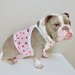 画像6: フレブル服  L XL 2XL 3XL 4XL 5XL 吸汗速乾 いちごメッシュ  クロップド タンクトップ 中型犬 大型犬 フレンチブルドッグ パグ 夏 doggystar ドッギースター 7月中旬発送 (6)