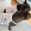 画像26: フレブル服  L XL 2XL 3XL 4XL 5XL 吸汗速乾 いちごメッシュ  クロップド タンクトップ 中型犬 大型犬 フレンチブルドッグ パグ 夏 doggystar ドッギースター 7月中旬発送 (26)