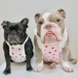 画像1: フレブル服  L XL 2XL 3XL 4XL 5XL 吸汗速乾 いちごメッシュ  クロップド タンクトップ 中型犬 大型犬 フレンチブルドッグ パグ 夏 doggystar ドッギースター 7月中旬発送 (1)