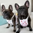 画像25: フレブル服  L XL 2XL 3XL 4XL 5XL 吸汗速乾 いちごメッシュ  クロップド タンクトップ 中型犬 大型犬 フレンチブルドッグ パグ 夏 doggystar ドッギースター 7月中旬発送 (25)