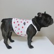 画像21: フレブル服  L XL 2XL 3XL 4XL 5XL 吸汗速乾 いちごメッシュ  クロップド タンクトップ 中型犬 大型犬 フレンチブルドッグ パグ 夏 doggystar ドッギースター 7月中旬発送 (21)