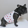 画像18: フレブル服  L XL 2XL 3XL 4XL 5XL 吸汗速乾 いちごメッシュ  クロップド タンクトップ 中型犬 大型犬 フレンチブルドッグ パグ 夏 doggystar ドッギースター 7月中旬発送 (18)