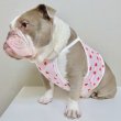 画像8: フレブル服  L XL 2XL 3XL 4XL 5XL 吸汗速乾 いちごメッシュ  クロップド タンクトップ 中型犬 大型犬 フレンチブルドッグ パグ 夏 doggystar ドッギースター 7月中旬発送 (8)