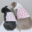 画像24: フレブル服  L XL 2XL 3XL 4XL 5XL 吸汗速乾 いちごメッシュ  クロップド タンクトップ 中型犬 大型犬 フレンチブルドッグ パグ 夏 doggystar ドッギースター 7月中旬発送 (24)